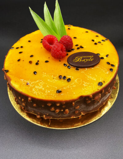 Passion rocher chocolat - Pierre Bayle Artisan