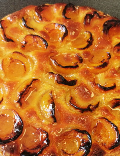 Tarte aux abricots - Pierre Bayle Artisan